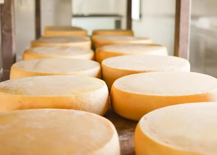 Bubble Pingo Do Mula Serra Da Canastra São Roque de Minas