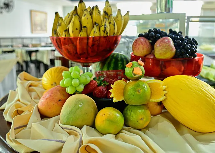 Hotel Brasil Sao Lourenco 