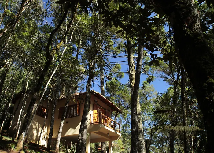 Pousada Chale Da Floresta Monte Verde 