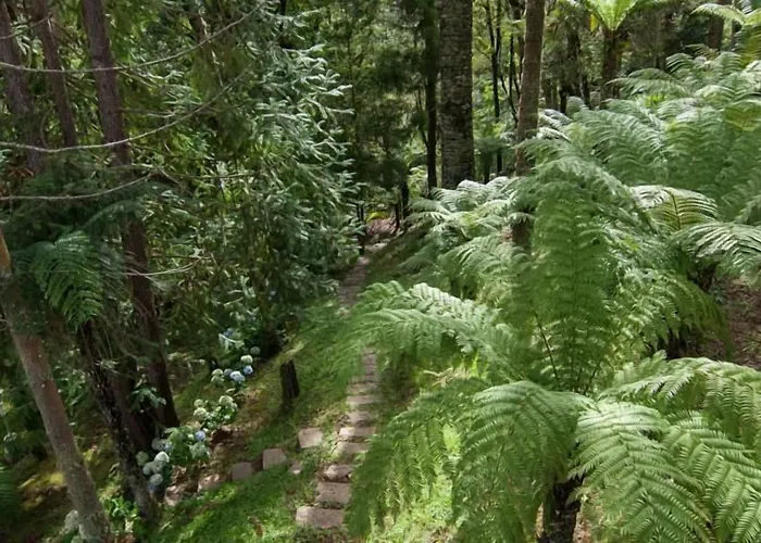 Pousada Ricanto Amore Mio Monte Verde 