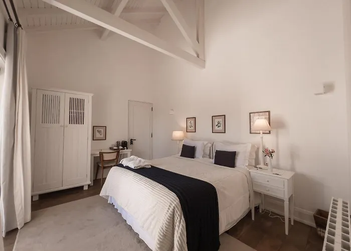 Roots Resort Monte Verde 