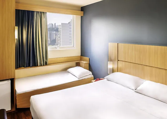 Ibis Belo Horizonte Savassi Hotel