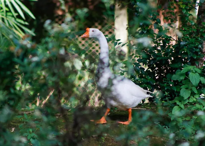 Pousada Fazenda Das Melancias Sete Lagoas